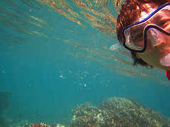 Surin Island tours with snorkeler in clear water is good.