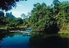 Fresh water photo in Khao Sok Jungle Safari Tour with green trees