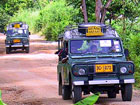 Safari Tour & Eco Adventure Trips