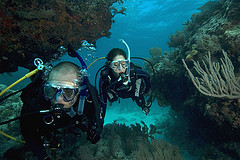Phuket Scuba Diving Liveaboard with coral reefs and beautiful seafans